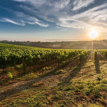 Il Palco Montepulciano, Vista Incredibile, 150Mt Da Piazza Grande Lägenhet Exteriör bild